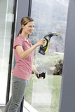 Karcher WV2 - Variation parent