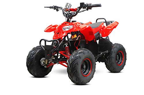 ATV Quad eléctrico 1000W Eco para niño 48, reguladores de velocidad-, –  Indoostrial