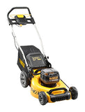 Dewalt DCMW564P2-QW DCMW564P2-QW-Cortacesped sin escobillas XR con 2 baterías de 18V Li-Ion 5Ah (36V) y Ancho de Corte de 48cm, 18 V, amarillo, Avec batterie