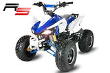 Rápido 125cc 3G8 RS 3-velocidades Semi automático + RG Midi Quad Vehiculo infantil Atv Bici